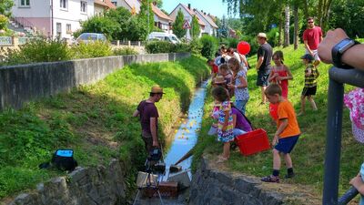 Rennbetrieb um Platz und Sieg am Zieleinlauf (Eigene Bildrechte)